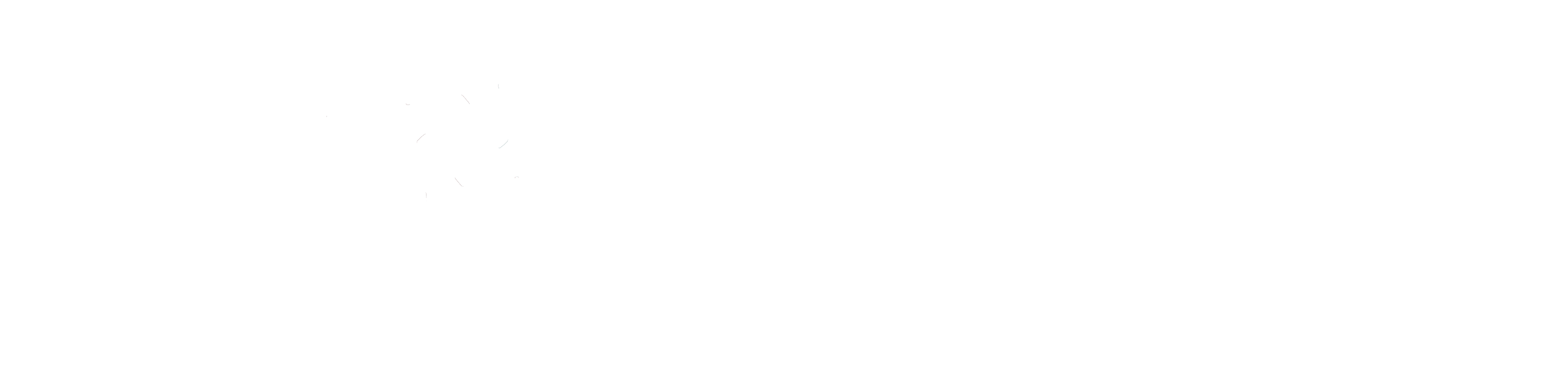 US-Taiwan Bilateral Trade Agreement Coalition - Icon White